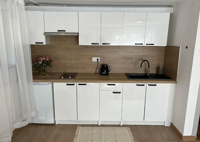 דירה Orlowo Nadmorskie גדינייה